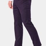 Plum Purple 2 Button Suit