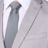 Silver Gray 2 Button Suit