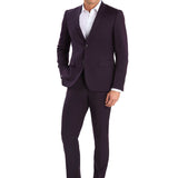 Plum Purple 2 Button Suit