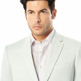 Light Sage Sharkskin 2 Button Suit