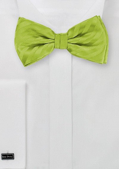 Green Apple Narrow Striped Bowtie - MenSuits