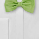 Green Apple Solid Bowtie - MenSuits