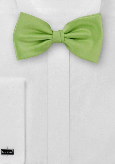 Green Apple Solid Bowtie - MenSuits