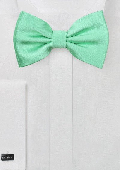 Mint Solid Bowtie - MenSuits