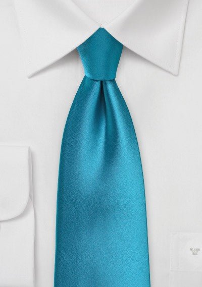 Peacock Solid Necktie - MenSuits