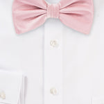 Petal Solid Bowtie - MenSuits