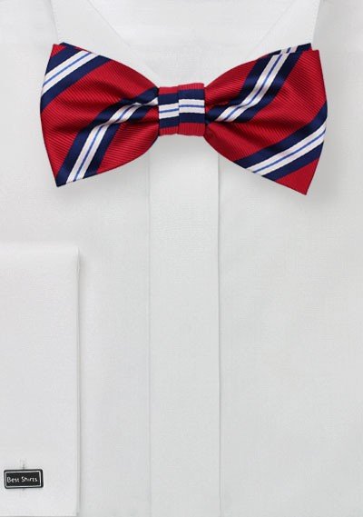 Preppy Red and Blue Repp&Regimental Striped Bowtie - MenSuits