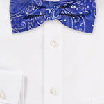 Royal Blue Proper Paisley Bowtie - MenSuits