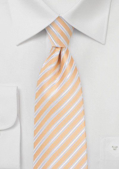 Sun Burst Summer Striped Necktie - MenSuits
