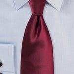 Wine Solid Necktie - MenSuits
